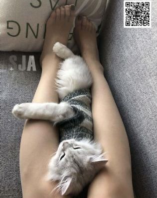 狠狠久久综合无码无广告_高清动漫免费观看